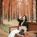 필름라이크[FILMLIKE]