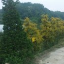 도담골 호반마을 이미지