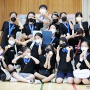 진제초등학교 이미지