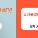 유성책임공인중개사사무소 네이버블로그