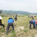 장흥군안양면보건지소 이미지