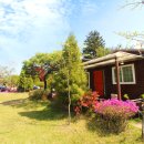 안성면112 이미지