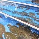 새만금종합수산시장 이미지