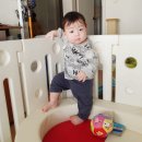 돌콩헤어 이미지