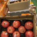 싱싱청과 이미지