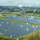 남이태양광발전소 이미지