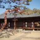 묘산고택 이미지