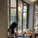 다미아가구 이미지