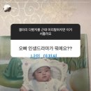 라이브캐슬 이미지