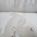 해모로세탁 이미지