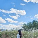 황산(주차장)화장실 이미지