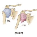 그로우무브 이미지