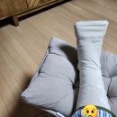 영화 50문 50답