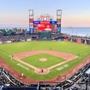 MLB_내셔널리그_외야뷰 이미지