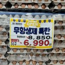 강구식자재마트 건 | [공지] [익산 식자재마트] 만세식자재마트 가오픈 방문! 오픈 행사와 내부 둘러본 후기