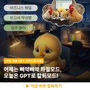 2881 | 돈 써서 메타 광고 돌려본 후기