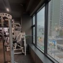 모조 피트니스 이미지