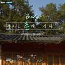 더아름다움뷰티 이미지