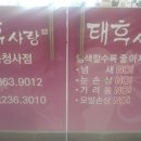 태후사랑세종