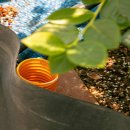 내리2리 농장 이미지