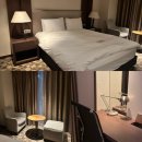 타올세탁 유성산업 | 대전여행 숙소추천 - 성심당 바로 앞에 있는 롯데시티호텔 대전, 스탠다드 더블 후기