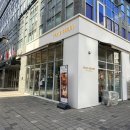 송선로4길-1 | 프레베리 마곡케이크 생과일 딸기케이크맛집 내돈내산 솔직후기