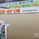 대청수산 - 무안군 왕산로 138 | 대청수산