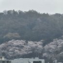 신신농장 네이버블로그