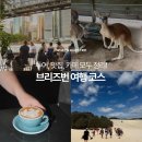 (주)주식회사 동광투어 | 호주 브리즈번 여행, 6월 7월 8월 날씨 옷차림 투어, 맛집, 카페 일정 코스 추천!