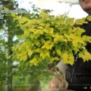 부자농장(정읍) 이미지