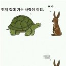 토끼와거북이 이미지