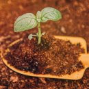 춘천지역자활센터 이미지