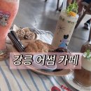 홍제동-1 | 강릉 홍제동 카페 어썸 방문 후기 – 계절과일주스 자두 생과일주스 강릉 홍제동 디저트 맛집