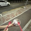 명덕여자중학교 | 바보가 되는 방법…