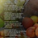 인류 천년공사人類千年公事 이미지