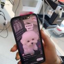 미추헤어 이미지