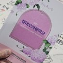 자람출판