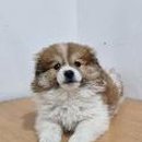 구방3리 이미지