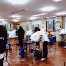 프란다스애견 이미지