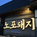 노포돼지보리짚불구이 | [제주도 애월] 제주 애월 흑돼지 맛집 구워주는 고깃집 “노포돼지 애월, 노포돼지 보리짚불구이”
