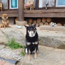 정읍리틀포레스트 이미지