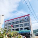 🌊 완도 바다 앞 힐링 명소, 따뜻한 정이 넘쳐나는 '스타비치펜션' 솔직 후기(애견동반 가능)