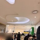 세일 | 2026 러쉬 프레쉬 세일 후기 매장 할인 품목 추천템 청량리점