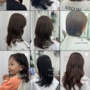 로로살롱 이미지