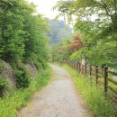 그대안의 풍경 이미지