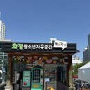 화정청소년자유공간 봉사 후기 주차 하는일 난이도 고양시 꿀봉사 5시간