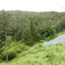 남해-229 이미지