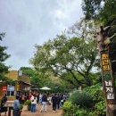 번영렌트카 이미지