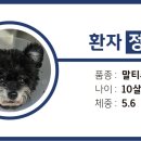 나음동물메디컬센터 이미지