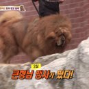 짱오농장 이미지